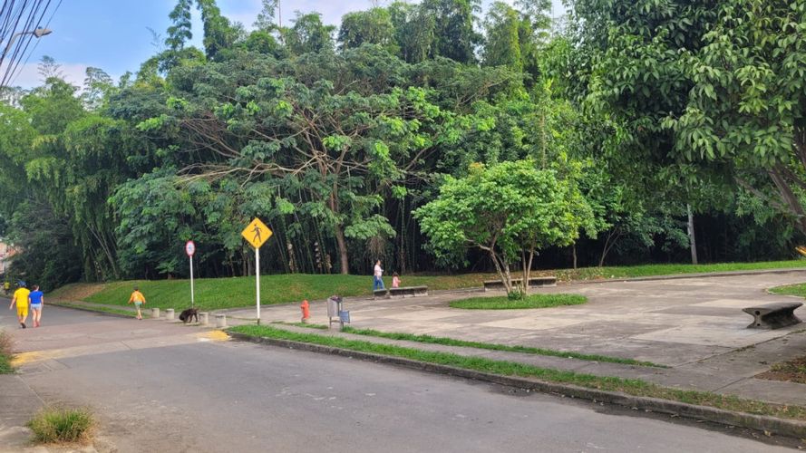 Casa de 3 alcobas en venta en Porerito, Jamundí, 124 m² · foto 1 de 24