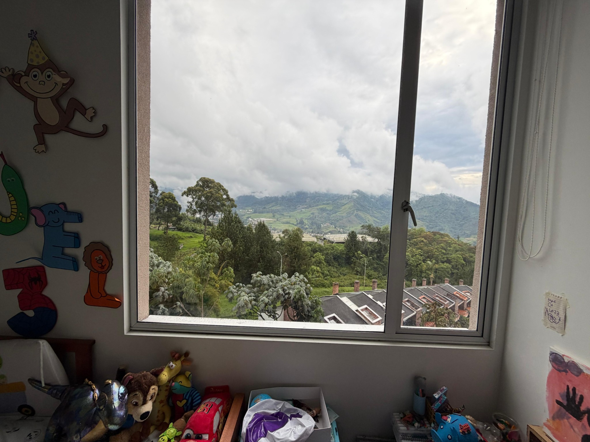 Apartamento en venta en Palermo, Manizales · foto 16 de 18