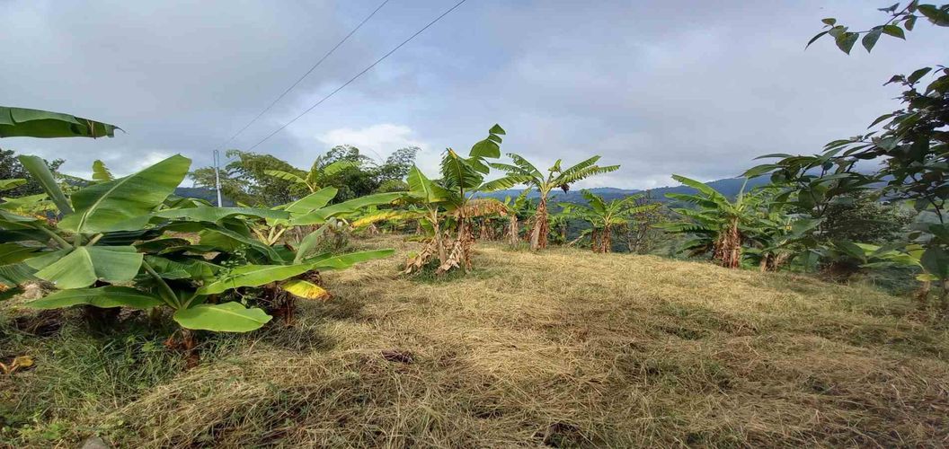 Finca en venta en Lleras, Manizales, 445 m² · foto 8 de 24