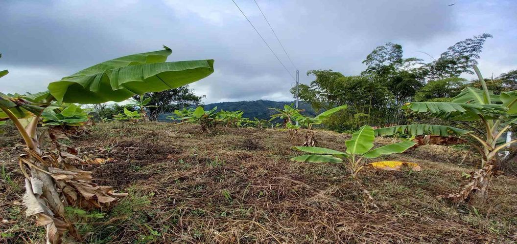 Finca en venta en Lleras, Manizales, 445 m² · foto 10 de 24