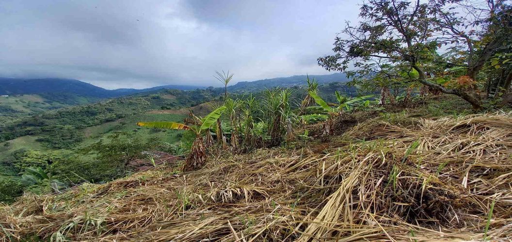 Finca en venta en Lleras, Manizales, 445 m² · foto 11 de 24