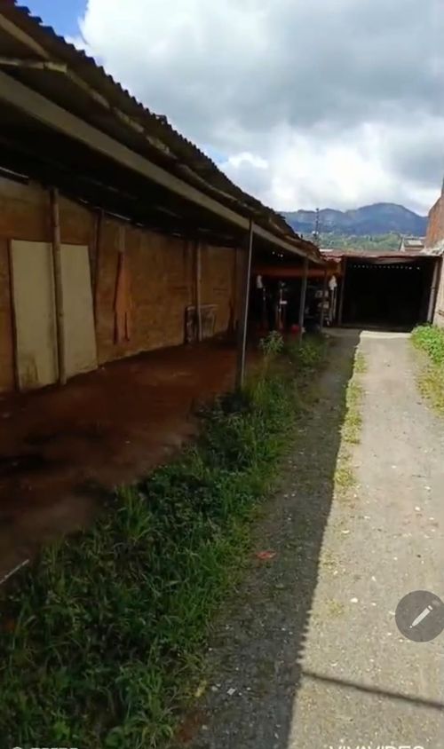 Lote en venta en Guadalupe, Dosquebradas · foto 2 de 6