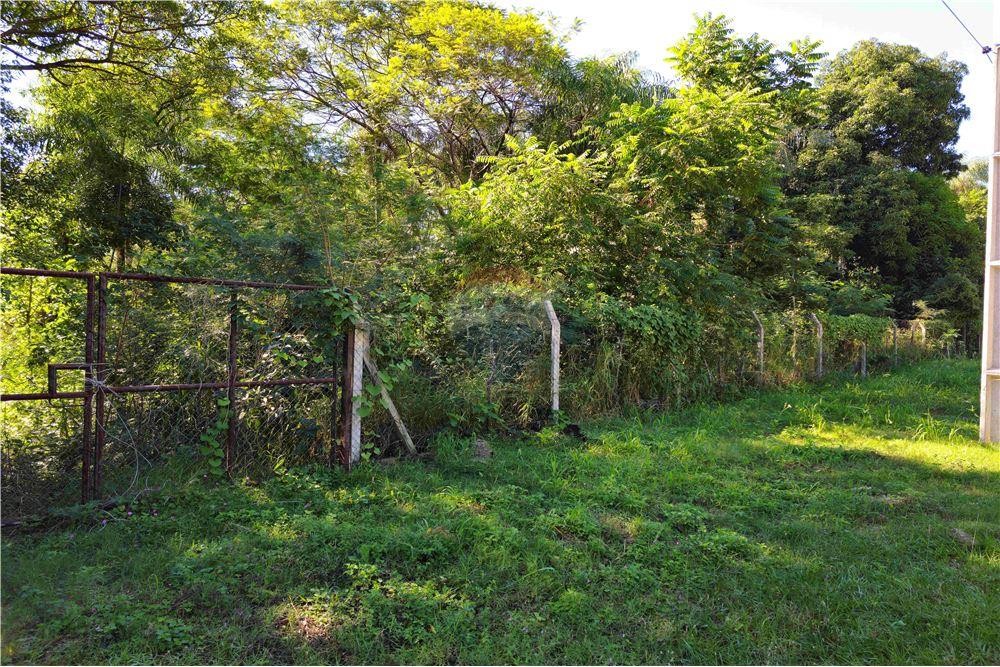 Terreno 4.5 Hectareas - San Bernardino Zona Alta — foto 2