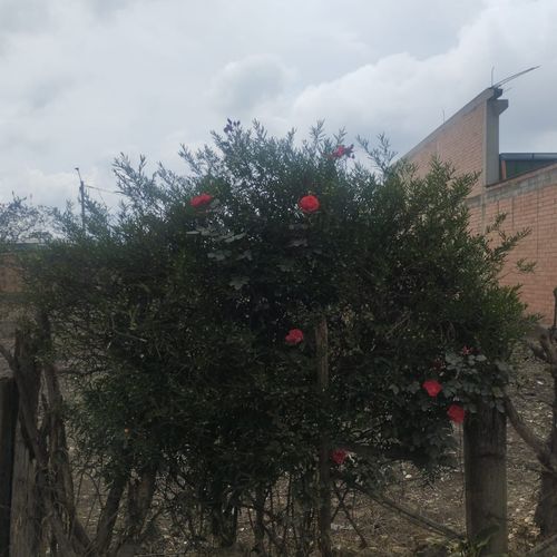 Lote en venta en Zona Franca De Occidente, Mosquera, 1200 m² · foto 19 de 20