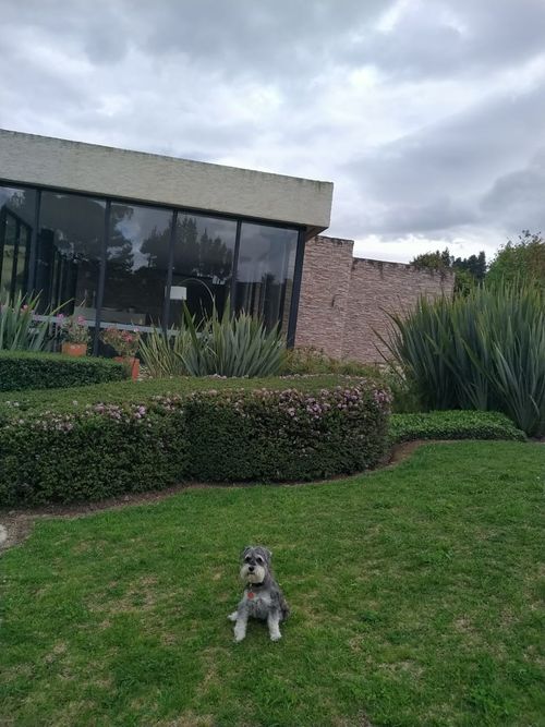 Lote en venta en Mercenario, Sopó, 2869 m² · foto 4 de 24