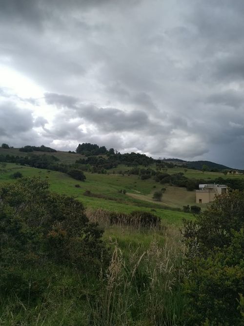 Lote en venta en Mercenario, Sopó, 2869 m² · foto 5 de 24