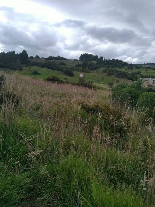Lote en venta en Mercenario, Sopó, 2869 m² · foto 24 de 24