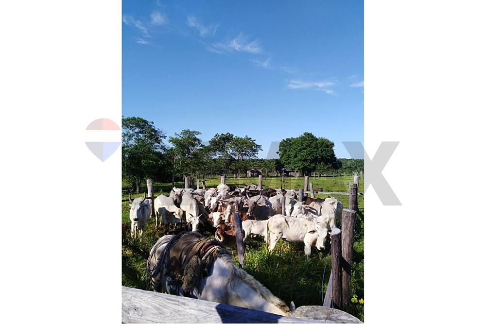 ESTANCIA DE 1.840.000 M2 DE TERRENO EN CANINDEYU EN VENTA — foto 2