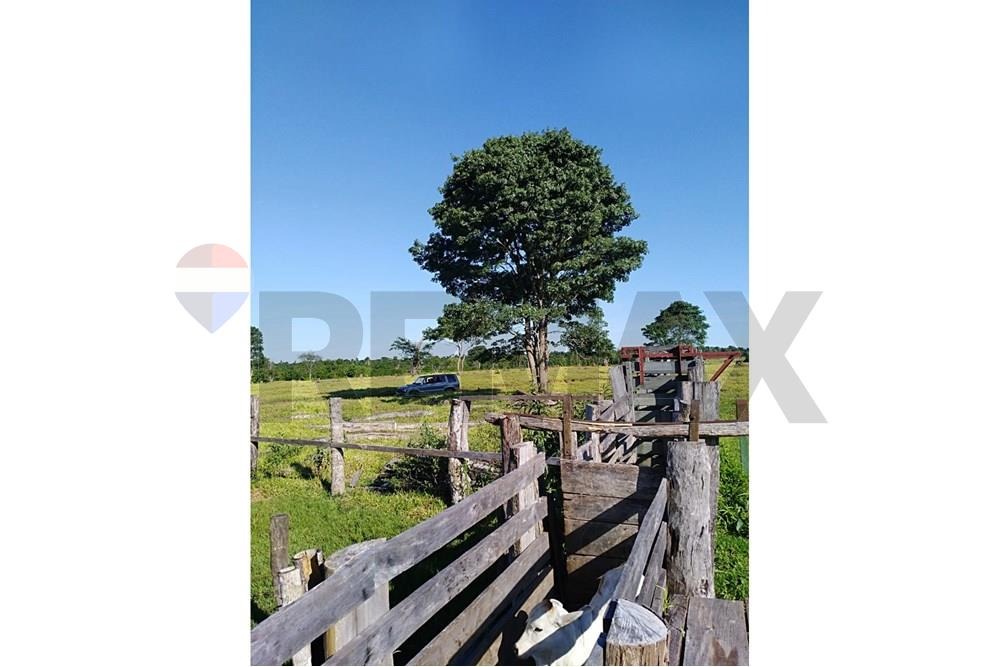 ESTANCIA DE 1.840.000 M2 DE TERRENO EN CANINDEYU EN VENTA — foto 3