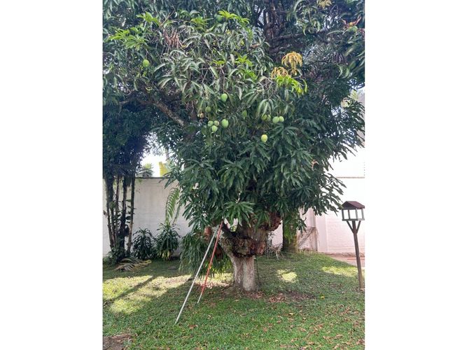 Casa de 4 alcobas en venta en Ciudad Jardin, Cali, 900 m² · foto 18 de 18