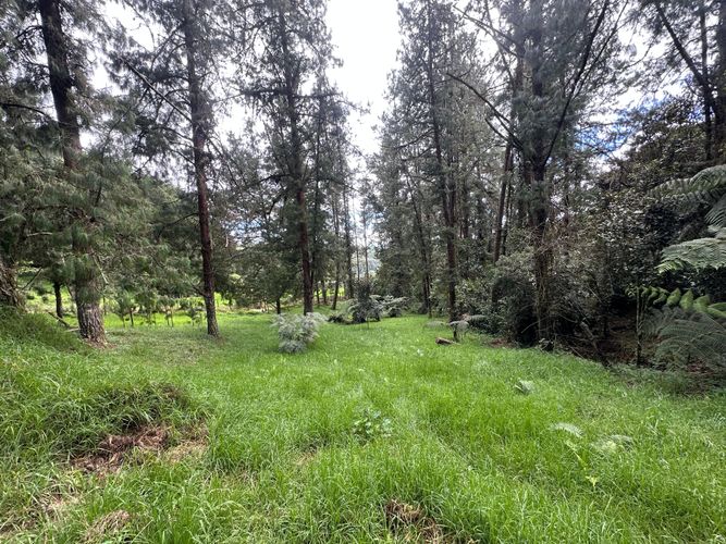 Lote en venta en Las Palmas, Envigado, 6948 m² · foto 8 de 9