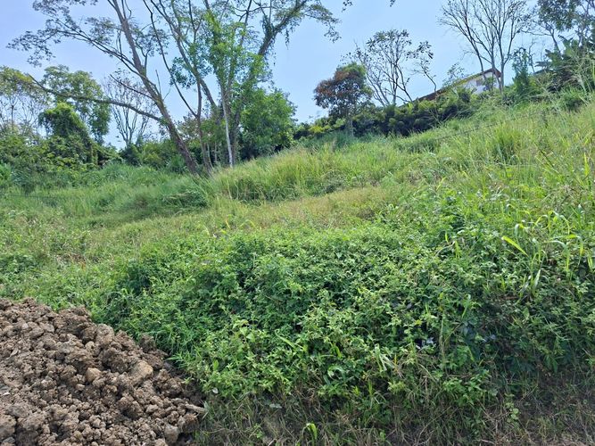 Lote en venta en La Cabaña, Manizales, 513 m² · foto 16 de 16