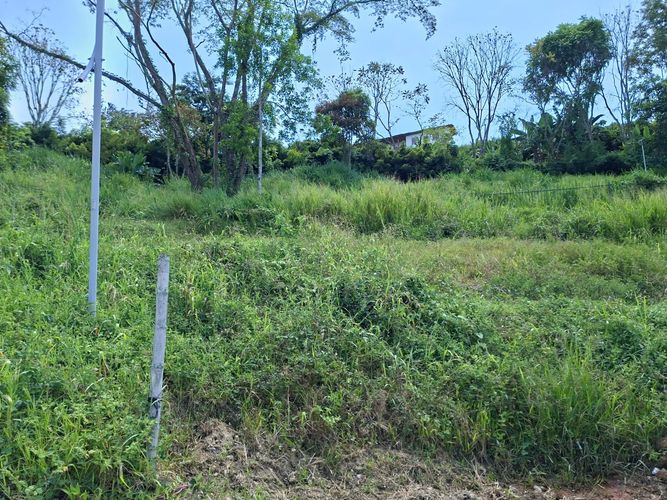 Lote en venta en La Cabaña, Manizales, 493 m² · foto 15 de 16