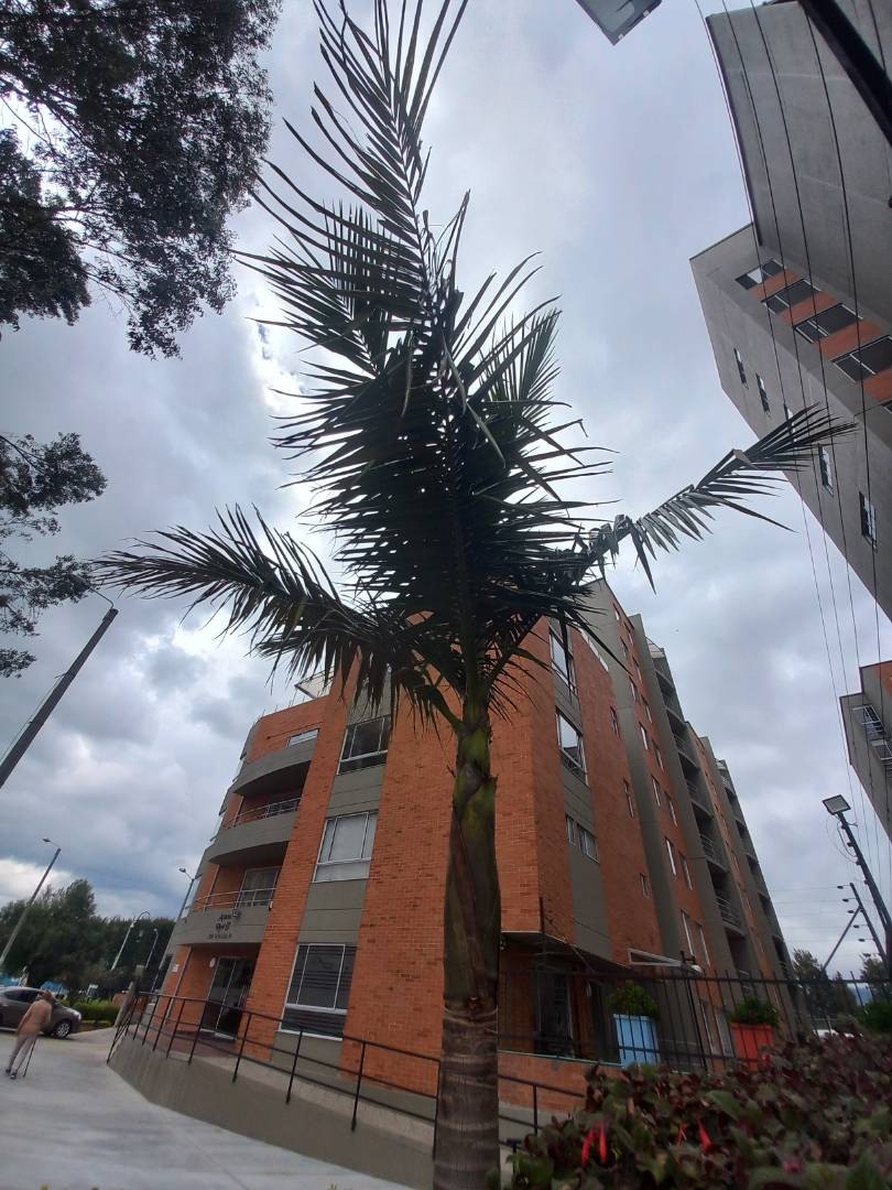 Apartamento en venta en Mazuren, Bogotá · foto 2 de 21