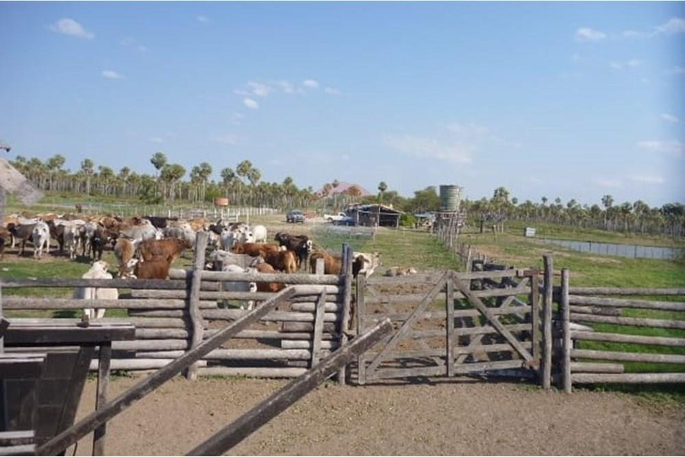ESTANCIA DE 7.310.000 M2 DE TERRENO EN PRESIDENTE HAYES EN VENTA — foto 2