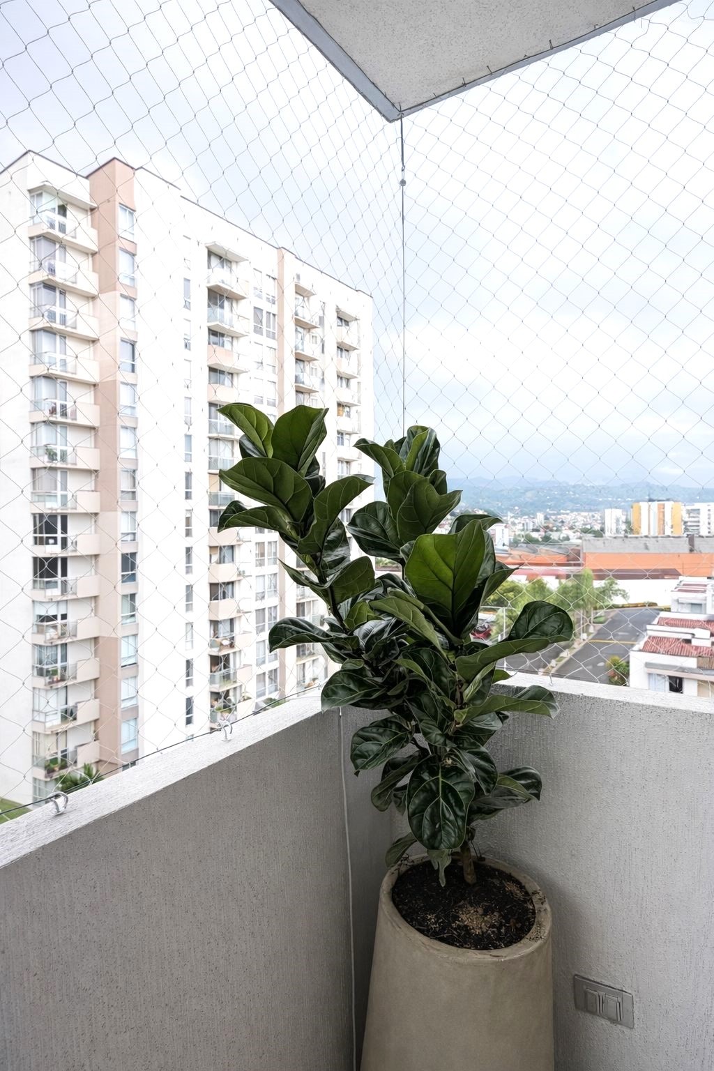 Apartamento en venta en Guadalupe, Dosquebradas · foto 21 de 24