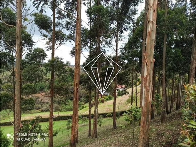 Finca en venta en Mampuesto, Rionegro, 336 m² · foto 15 de 24