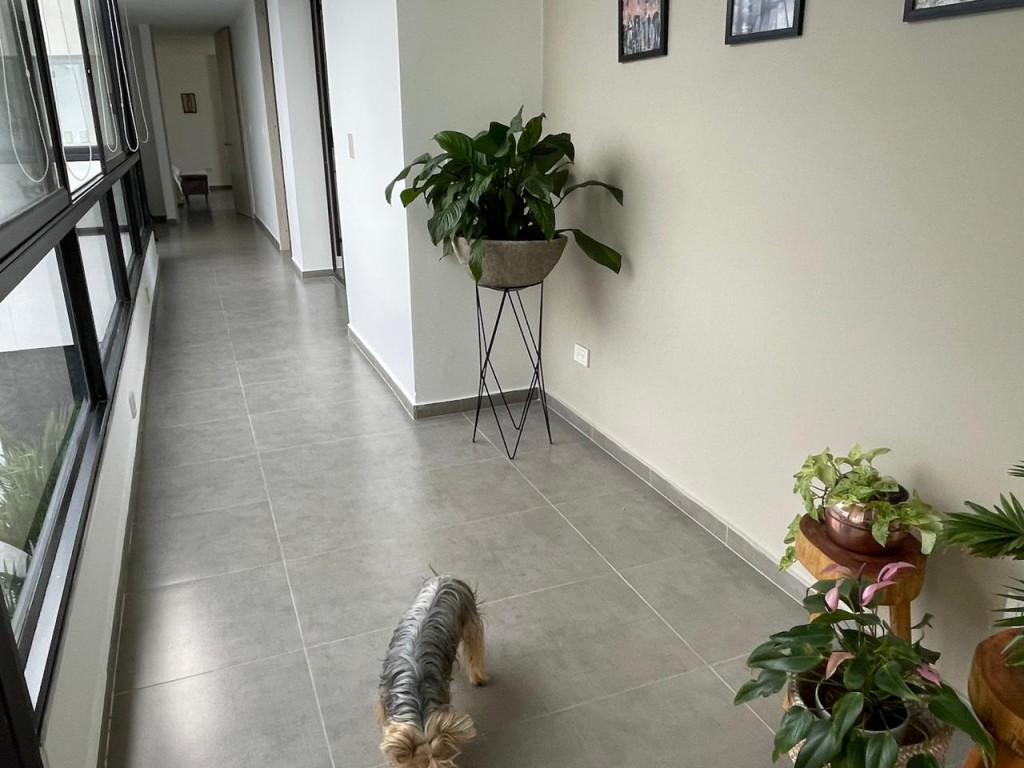 Casa en venta en Cerritos, Pereira · foto 14 de 24