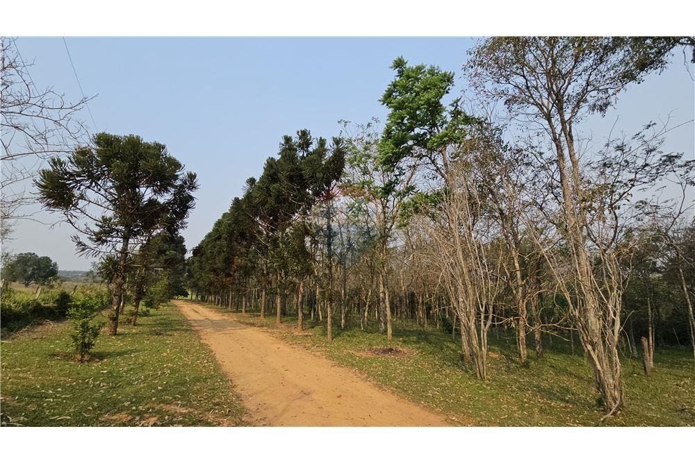 TERRENO DE 550.000 M2 EN ITACURUBÍ DE LA CORDILLERA EN VENTA — foto 2
