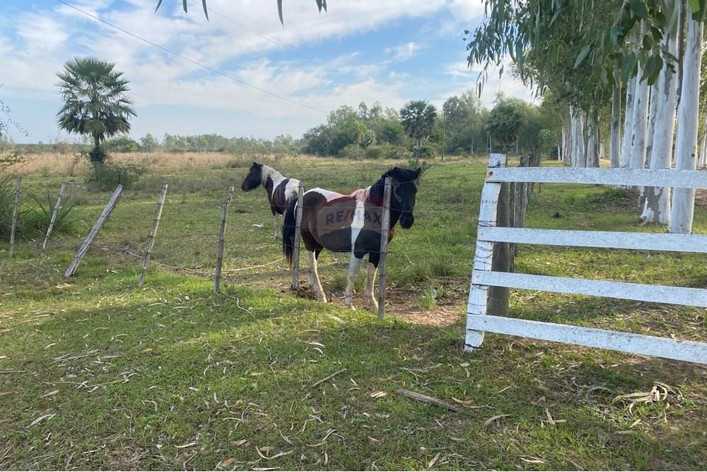 ESTANCIA AGROECOLÓGICA CON 280.000 M2 DE TERRENO EN ITÁ EN VENTA — foto 2