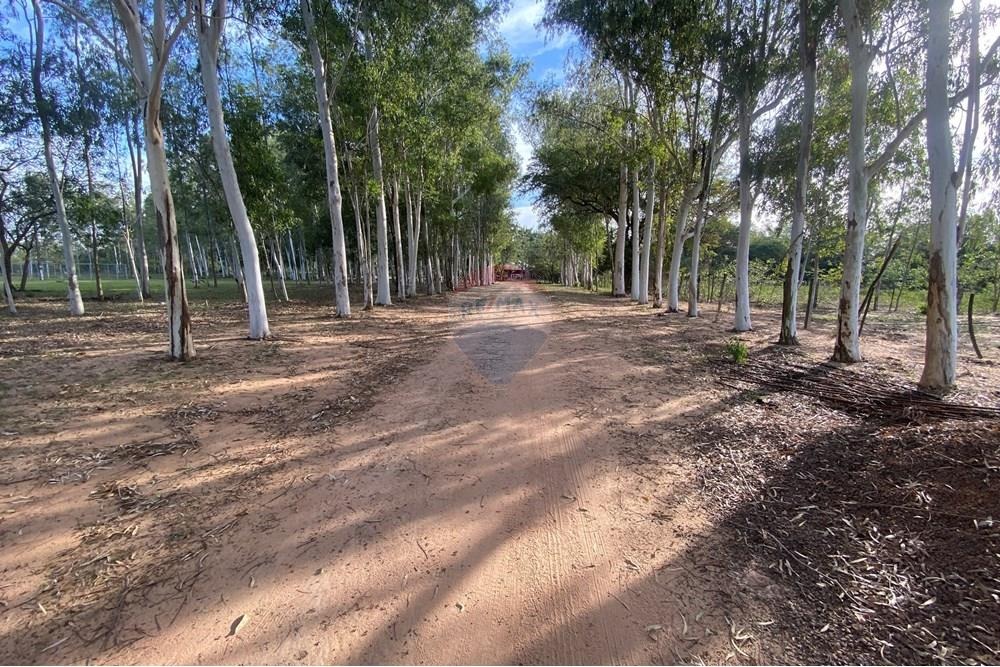 ESTANCIA AGROECOLÓGICA CON 280.000 M2 DE TERRENO EN ITÁ EN VENTA — foto 3