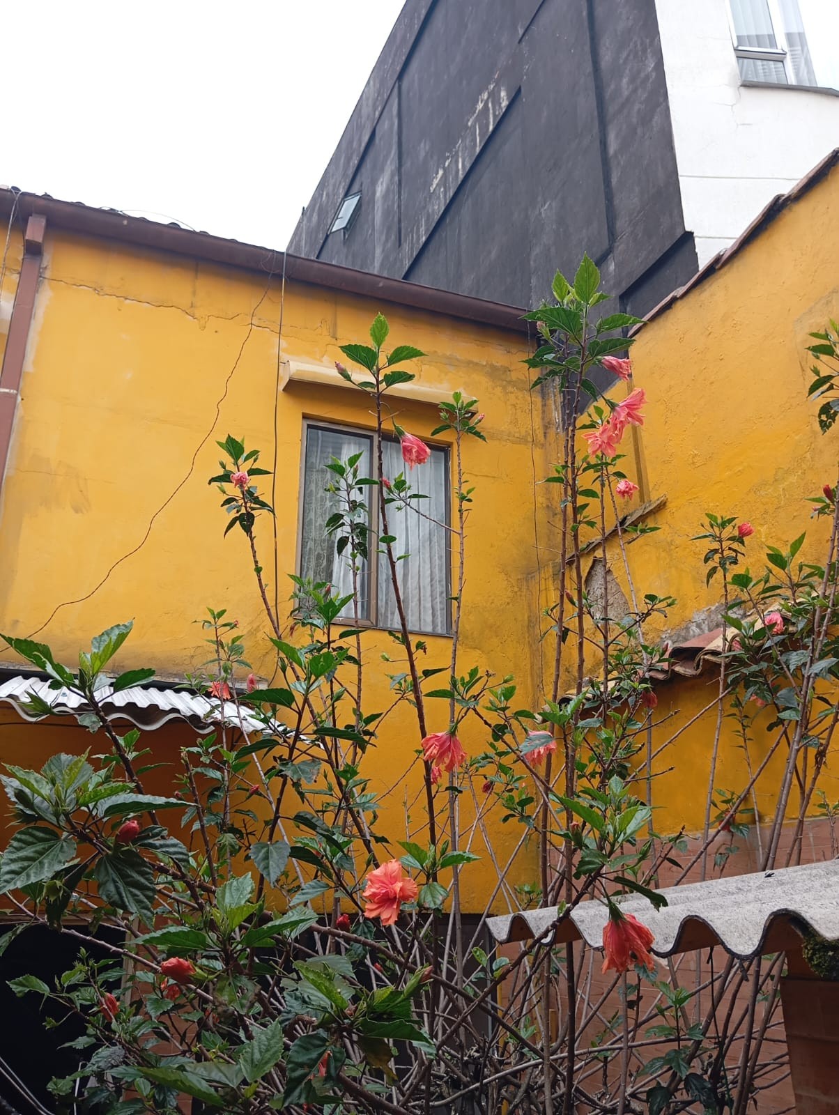 Casa en venta en Palermo, Bogotá · foto 13 de 19