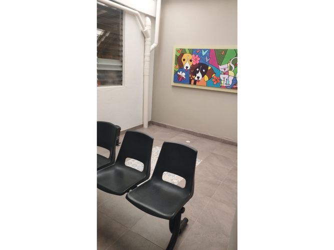 Local en arriendo en Centro, Bucaramanga, 486 m² · foto 5 de 15