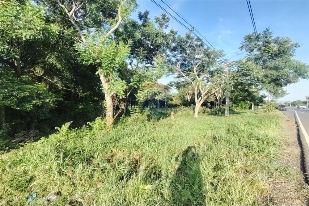 VENDO TERRENO EN ITA — foto 3