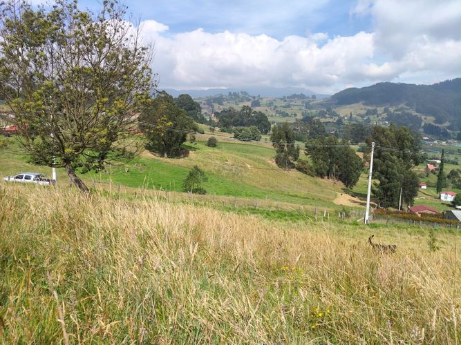 Lote en venta en San Jorge, Zipaquirá, 1500 m² · foto 6 de 9