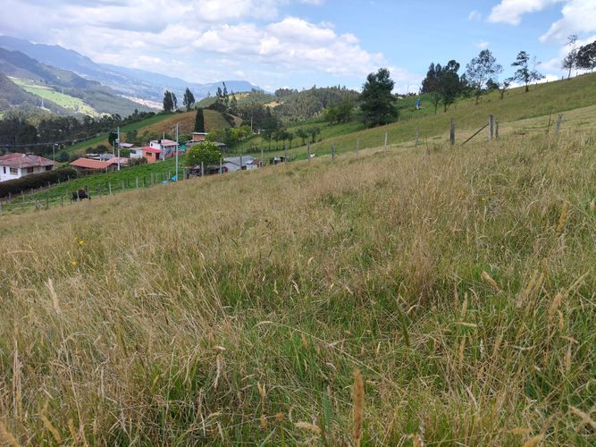 Lote en venta en San Jorge, Zipaquirá, 1500 m² · foto 8 de 9