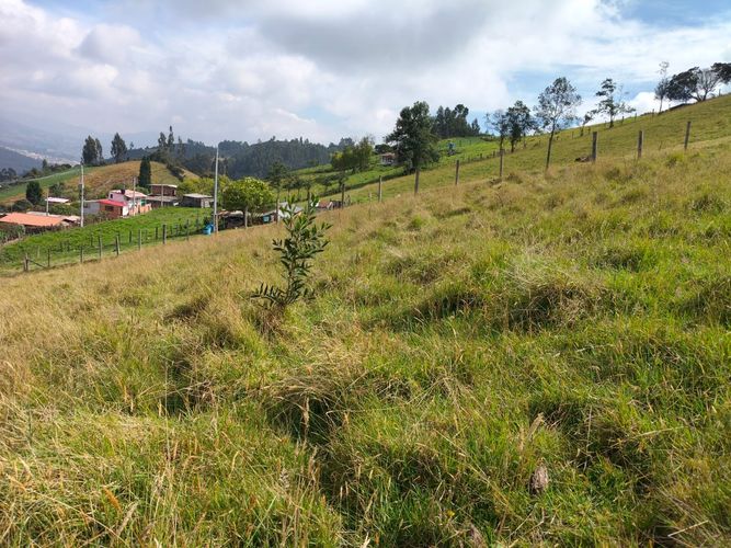Lote en venta en San Jorge, Zipaquirá, 1500 m² · foto 5 de 9
