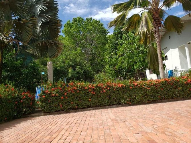Finca en venta en Ricaurte, 1008 m² · foto 8 de 20