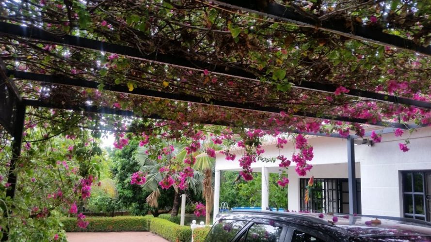Finca en venta en Ricaurte, 1008 m² · foto 12 de 20