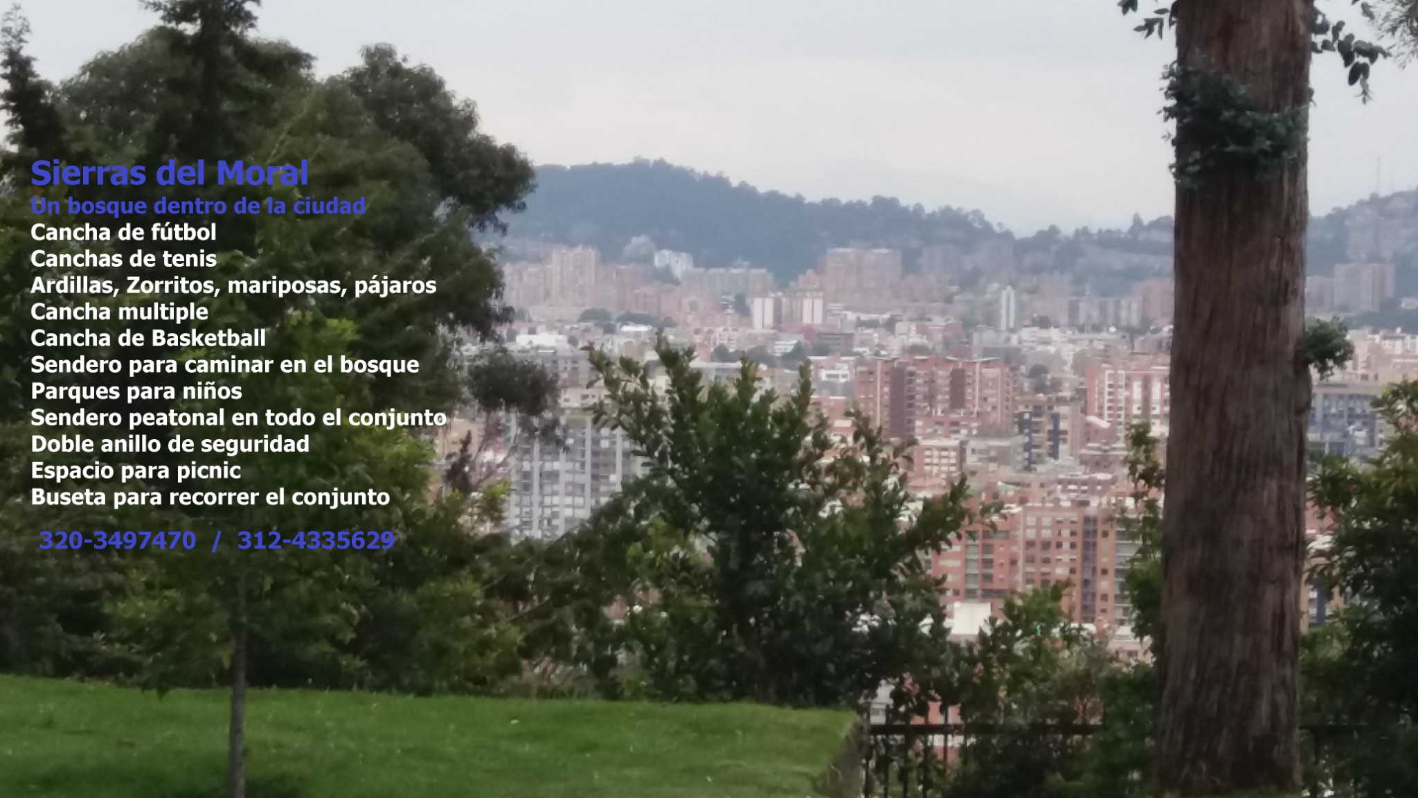 Apartamento en venta en Bosques Del Marques, Bogotá · foto 19 de 23
