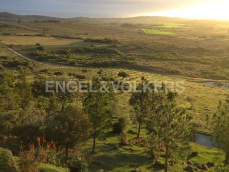 Venta De Chacras O Campos En Playa Hermosa Infocasas Com Uy