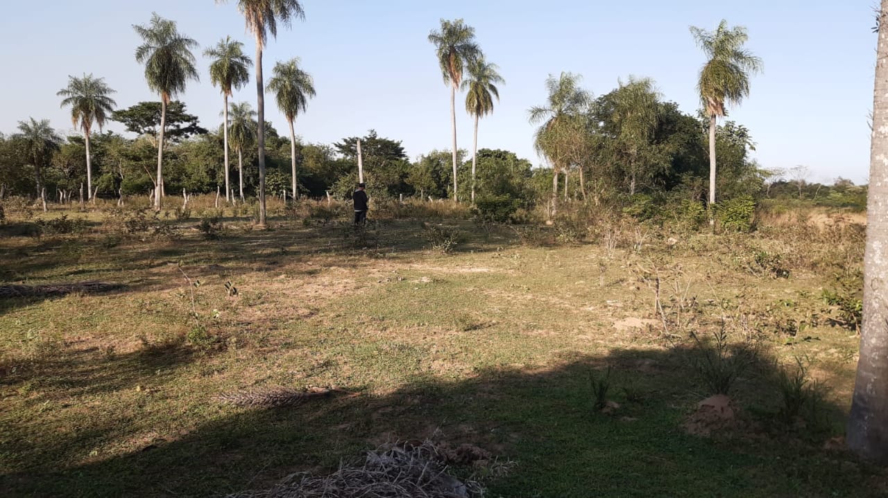 VENDO TERRENO DE 7.5HAS EN ATYRA IDEAL PARA INVERSION — foto 2