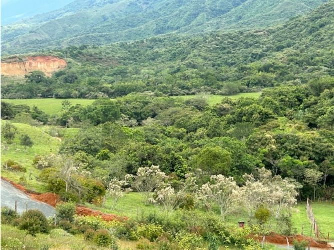 Lote en venta en La Palmirana, Palmira, 3000 m² · foto 6 de 18