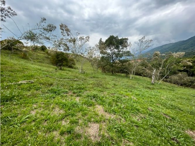 Lote en venta en La Palmirana, Palmira, 3000 m² · foto 7 de 18
