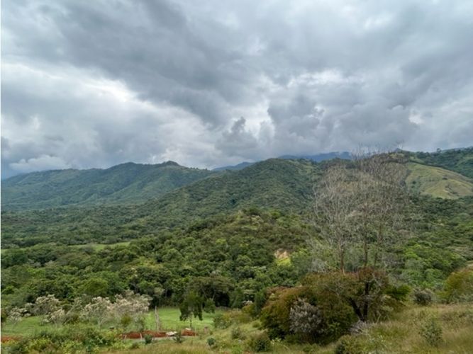 Lote en venta en La Palmirana, Palmira, 3000 m² · foto 8 de 18