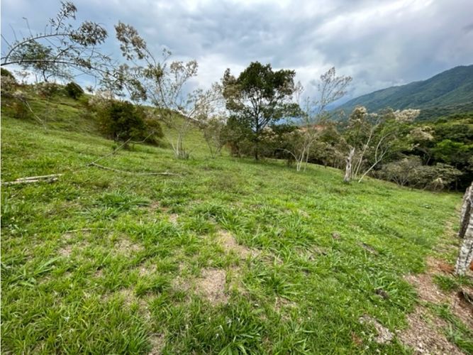 Lote en venta en La Palmirana, Palmira, 3000 m² · foto 9 de 18