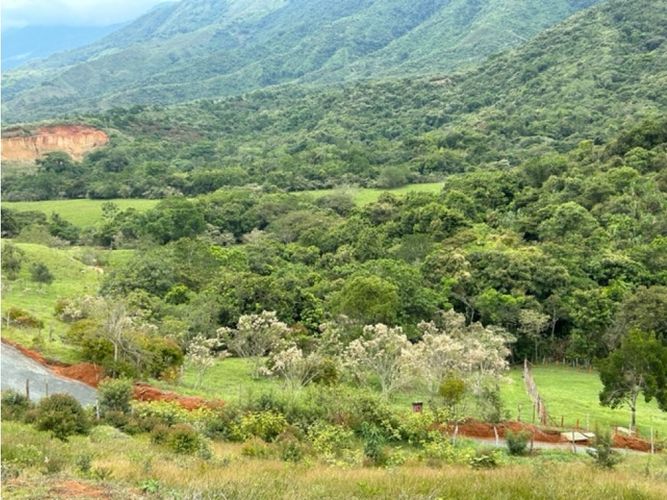 Lote en venta en La Palmirana, Palmira, 3000 m² · foto 10 de 18