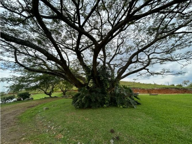 Lote en venta en La Palmirana, Palmira, 3000 m² · foto 13 de 18
