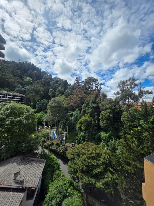 Apartamento de 3 alcobas en venta en Los Rosales, Bogotá, 317 m² · foto 18 de 24