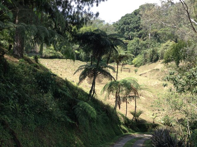 Lote en venta en La Esperanza, Dosquebradas, 10000 m² · foto 3 de 12