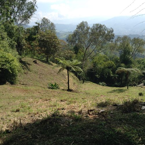 Lote en venta en La Esperanza, Dosquebradas, 10000 m² · foto 4 de 12