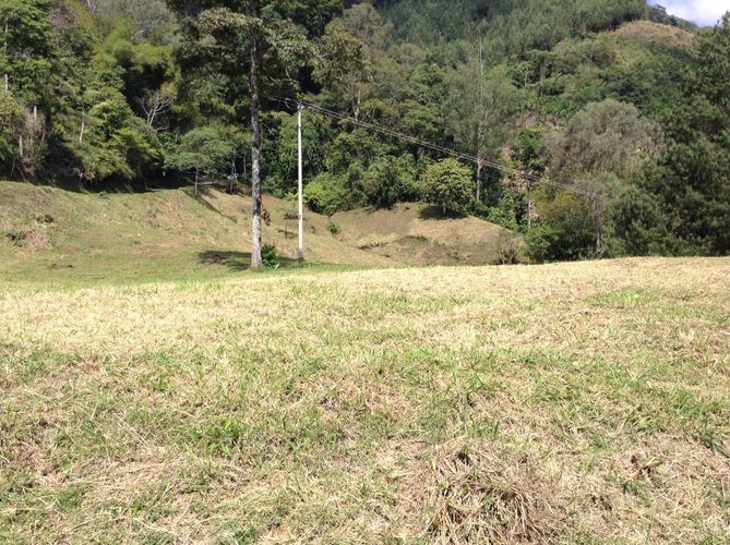 Lote en venta en La Esperanza, Dosquebradas, 10000 m² · foto 5 de 12