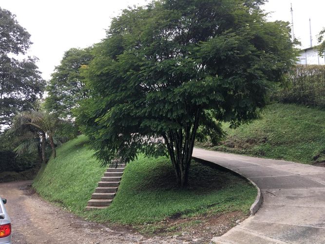 Lote en venta en La Esperanza, Dosquebradas, 10000 m² · foto 9 de 12