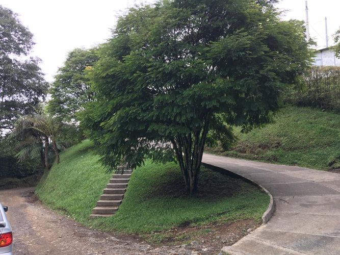 Lote en venta en La Esperanza, Dosquebradas, 10000 m² · foto 12 de 12