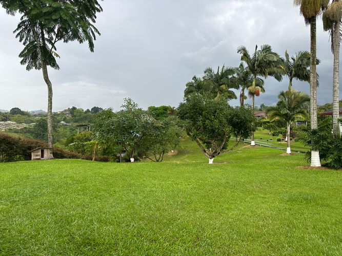 Finca en venta en Tribunas Corcega, Pereira, 250 m² · foto 4 de 24