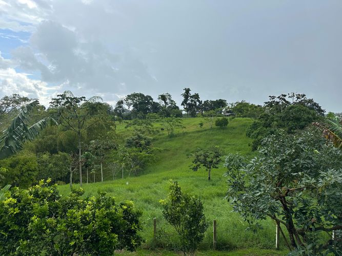 Finca en venta en Tribunas Corcega, Pereira, 250 m² · foto 7 de 24